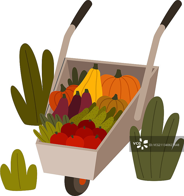 时令蔬菜在独轮车里图片素材