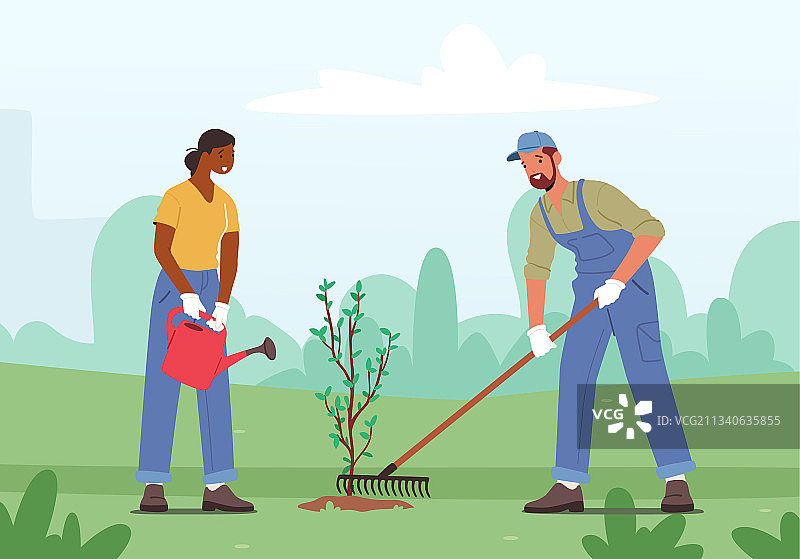 森林恢复植树造林图片素材