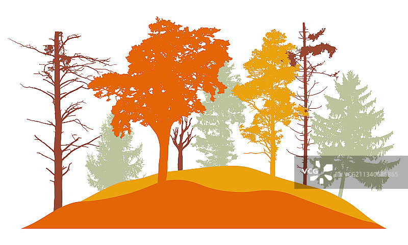 秋季森林剪影光秃秃的树木图片素材