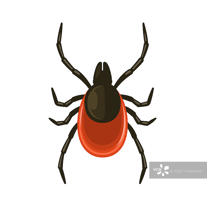 白色背景上的扁平风格打勾图标图片素材