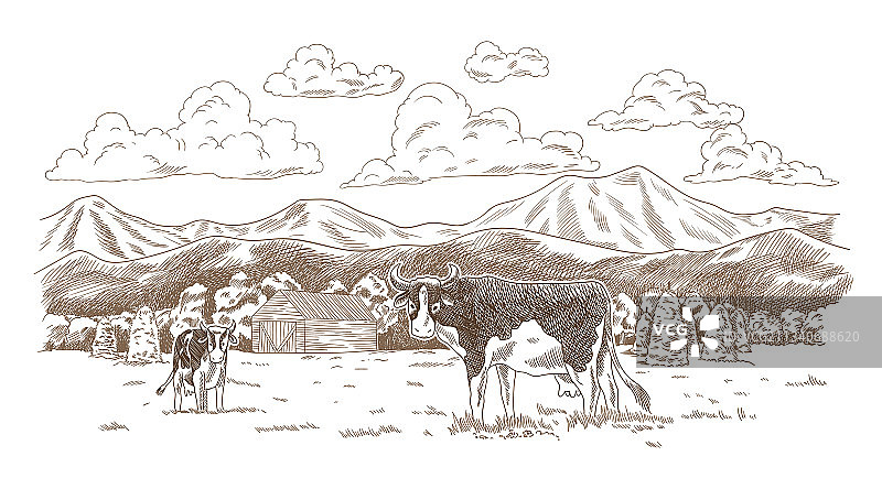 草地上吃草的奶牛，手绘农田图片素材