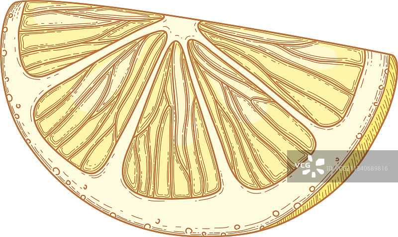 柠檬切块手绘图图片素材