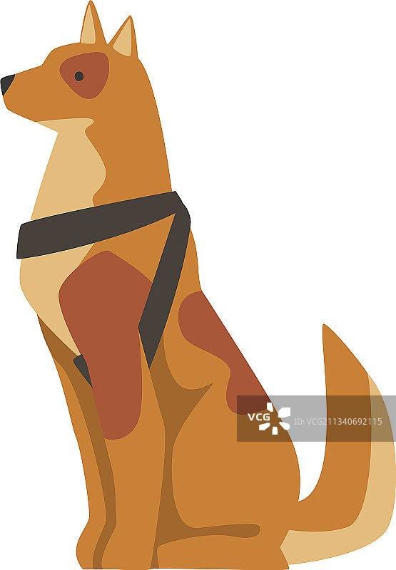 经过特殊训练的导盲犬图片素材