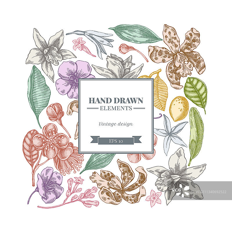 粉色香雪兰斐济果方形花卉设计图片素材