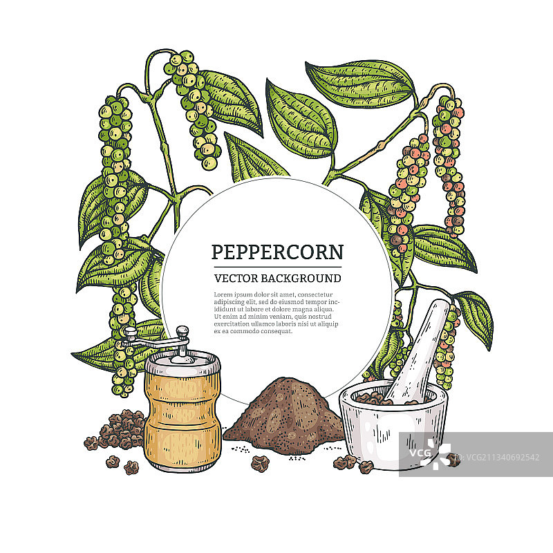 花椒植物雕刻边框或banner图片素材