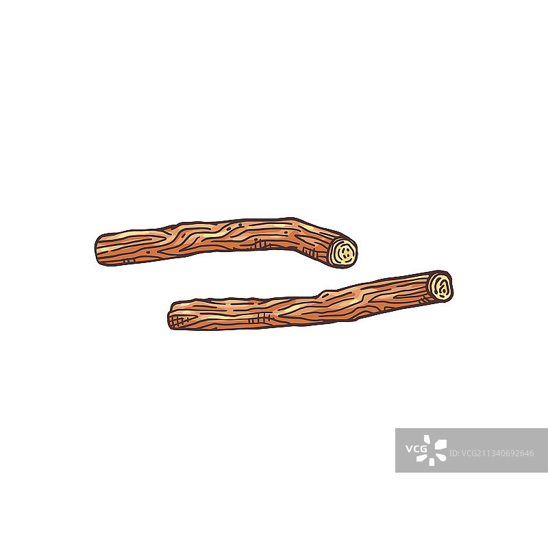 甘草根局部，雕刻蚀刻风格图片素材