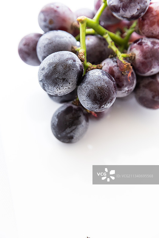新鲜美味的巨峰葡萄图片素材