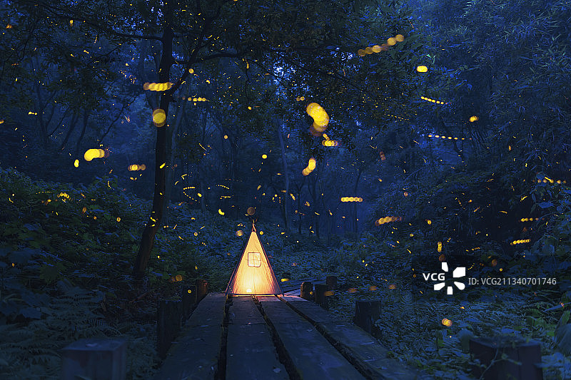 森林萤火南京老山森林公园图片素材