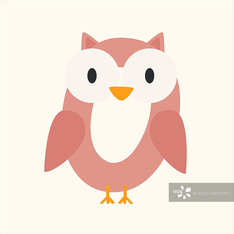 野生动物字母表图片素材