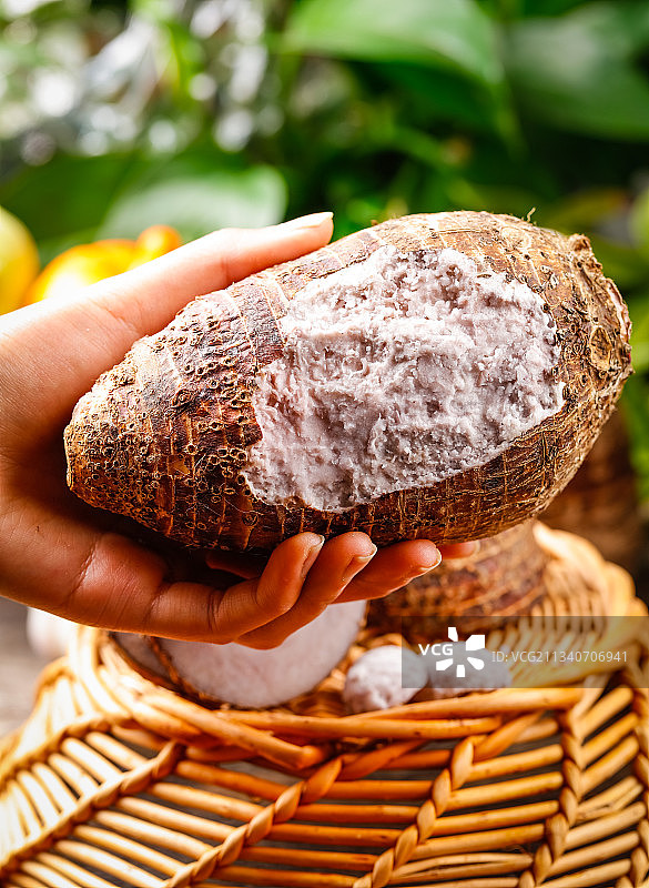 手上拿着一个荔浦芋头图片素材