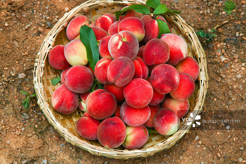 篮子里装着桃子图片素材