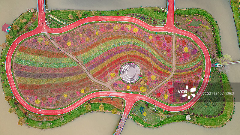 盐城荷兰花海图片素材