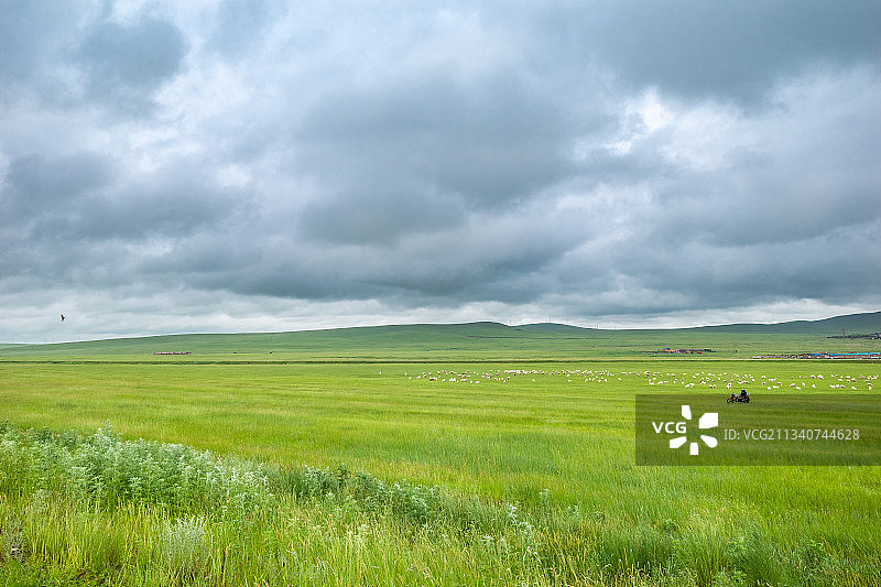 中国内蒙呼伦贝尔草原风景图片素材