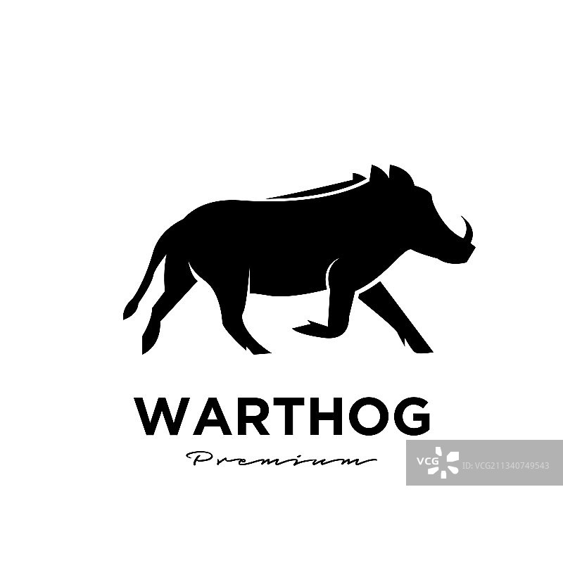 疣猪简约logo设计图片素材