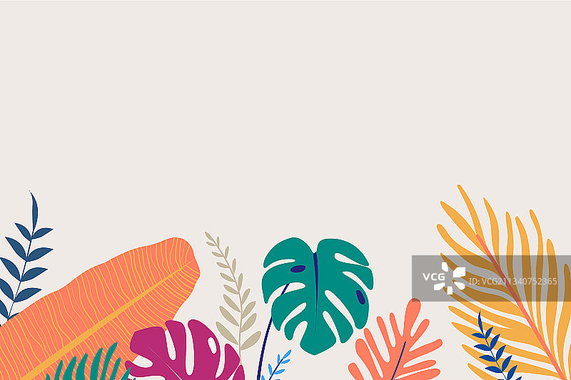热带设计空间图片素材