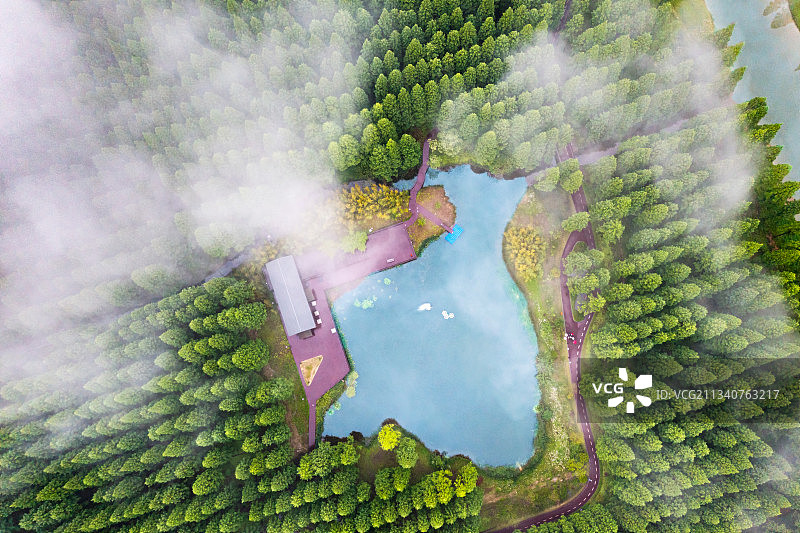 鸟瞰黄海森林公园图片素材