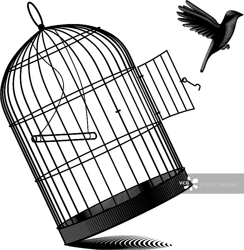 掉落的鸟笼与飞走的黑鸟图片素材