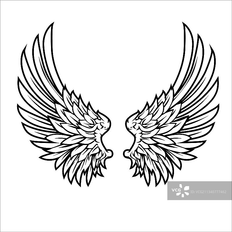 翅膀鸟类羽毛黑白纹身猎鹰天使图片素材