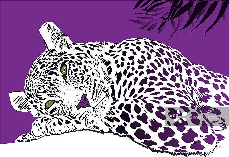 沉思的豹子banner图片素材