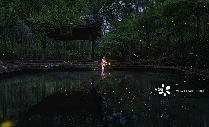 林风移宿鸟 池雨定流萤图片素材