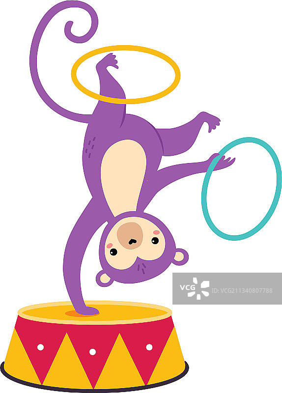 马戏团猴子在鼓上翻筋斗图片素材