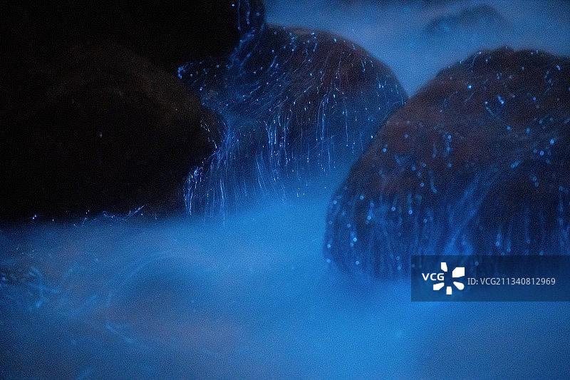 平潭蓝眼泪荧光海海萤与礁石图片素材