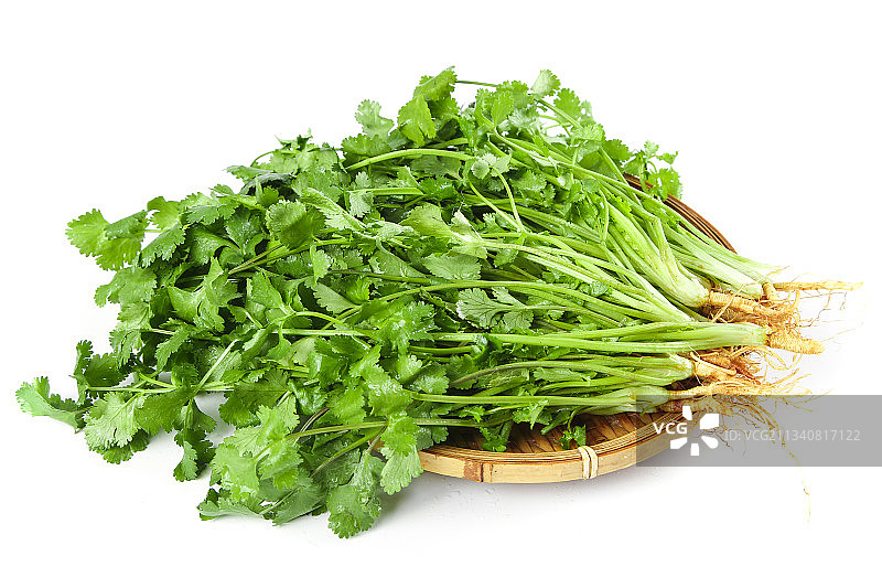 白底上放着一盘四季香菜图片素材