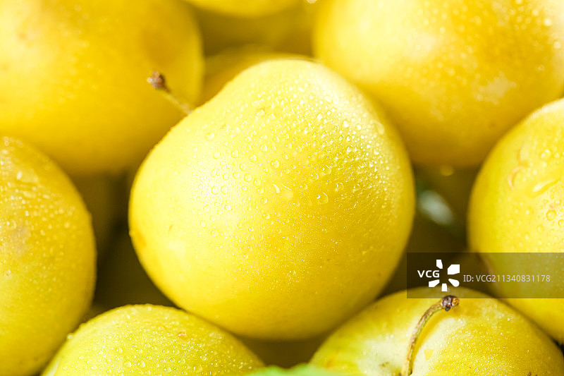 亮底上的九峰山黄金奈李图片素材