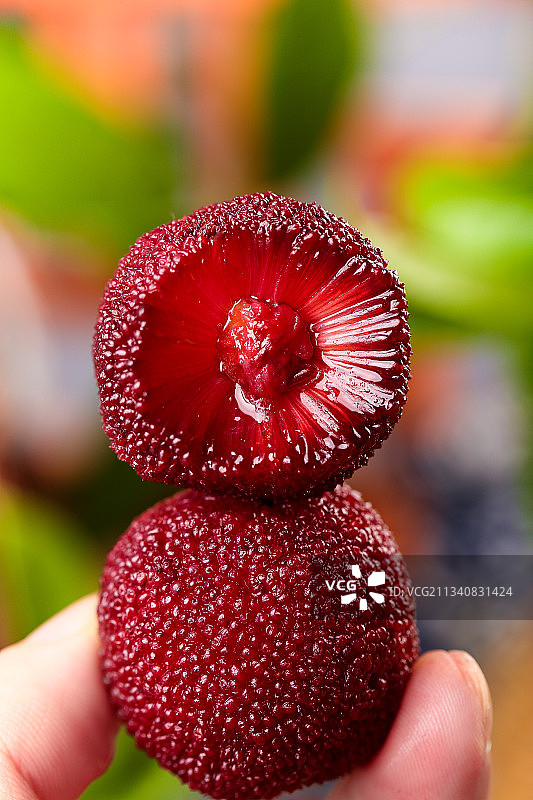 深底上放着余姚杨梅图片素材