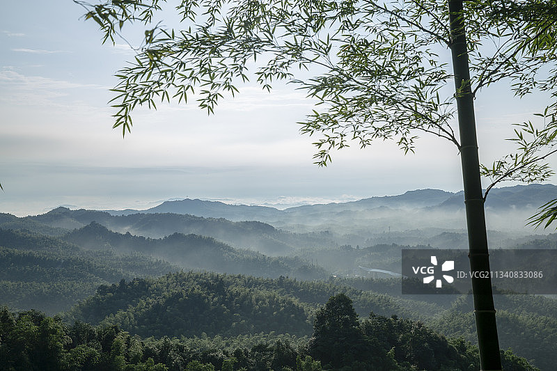 清新的远山与竹图片素材