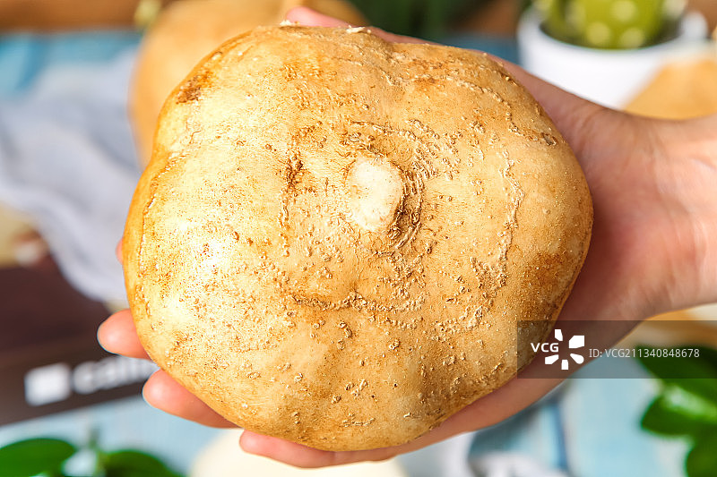 手里拿着白凉薯图片素材