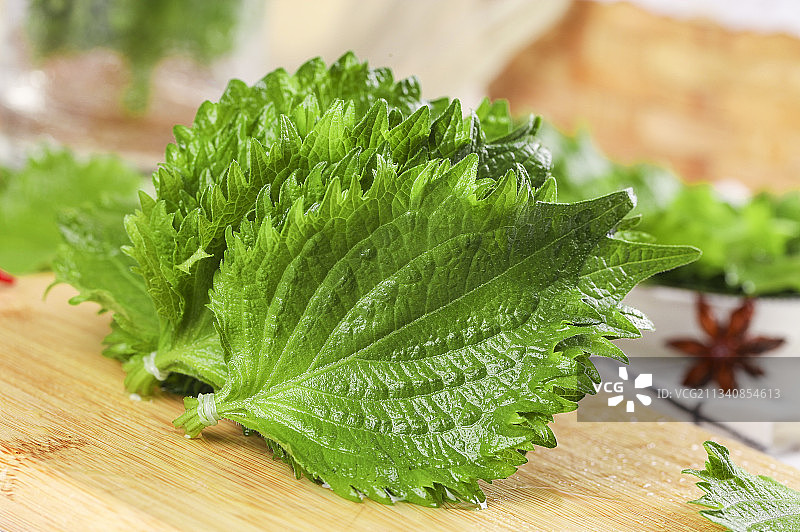 新鲜的绿紫苏叶放在木底上图片素材
