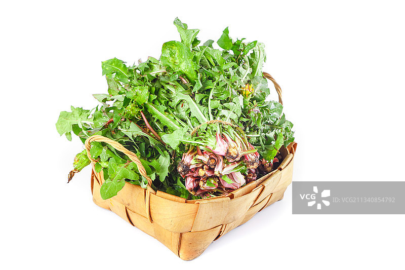 一筐新鲜的蒲公英放在白底上图片素材