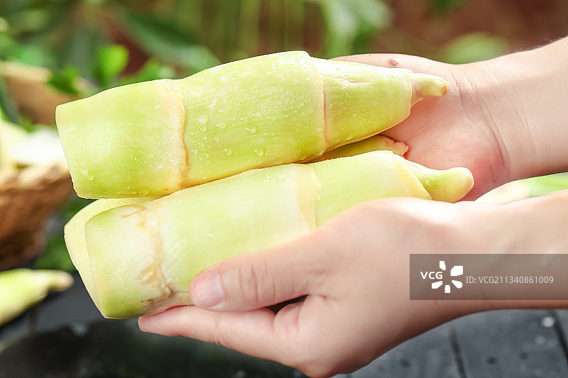 手里拿着湖北新鲜茭白图片素材