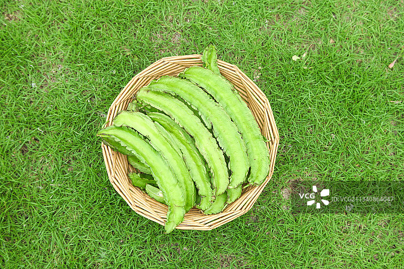 草地上放着一篮四角豆图片素材