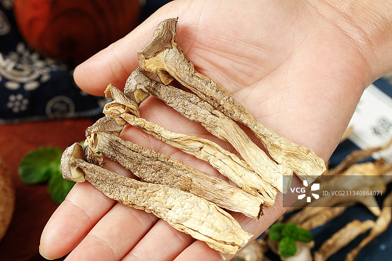 手里拿着干茶树菇图片素材