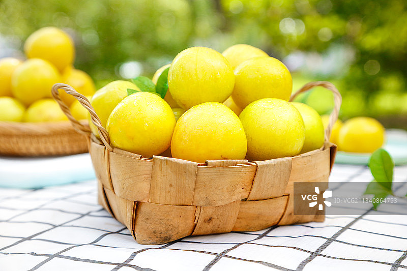 篮子里装着黄金奈李图片素材