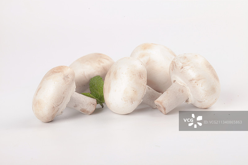 白底上摆放着口蘑图片素材