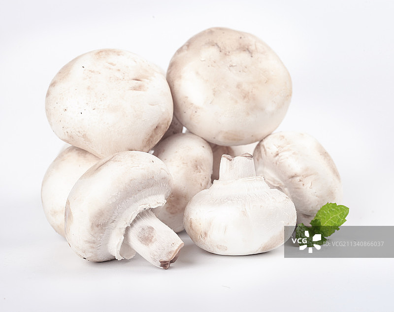 白底上摆放着口蘑图片素材