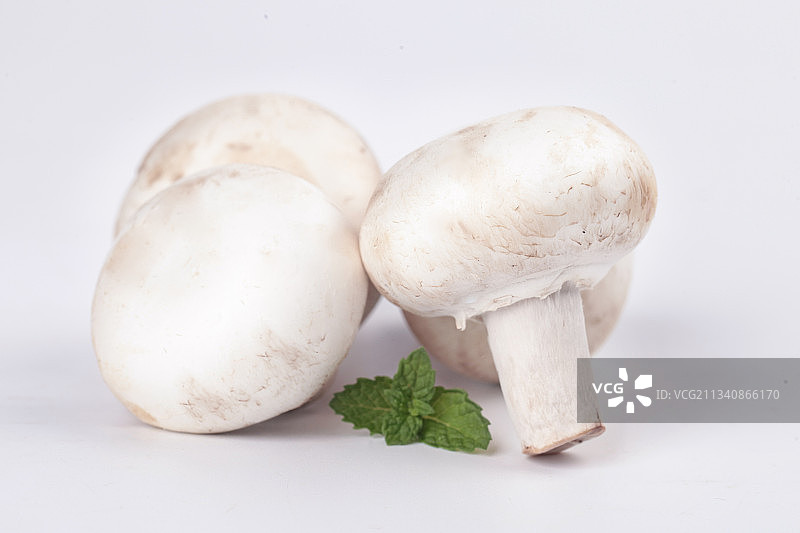 白底上摆放着白菇图片素材