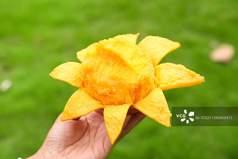 手里拿着剥皮的爱文芒图片素材