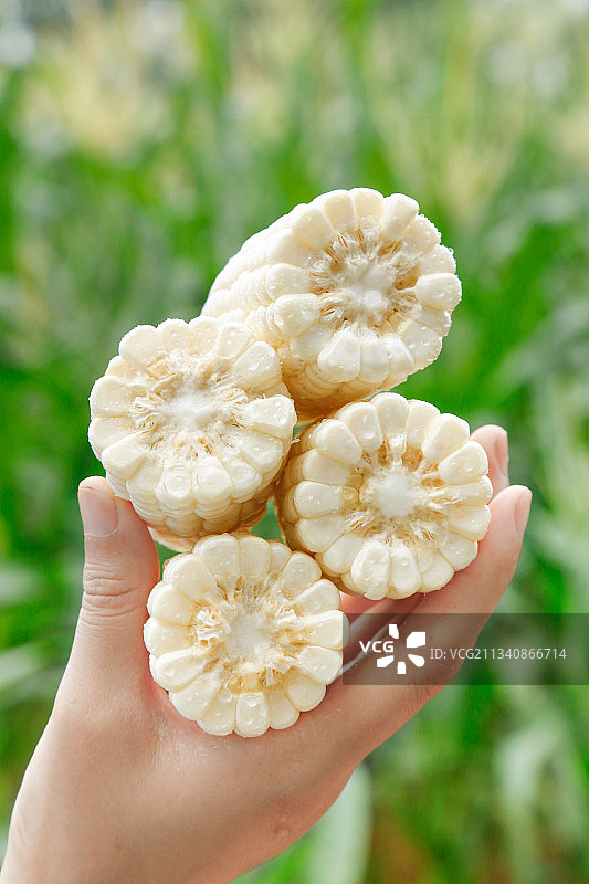 手里拿着甜玉米图片素材