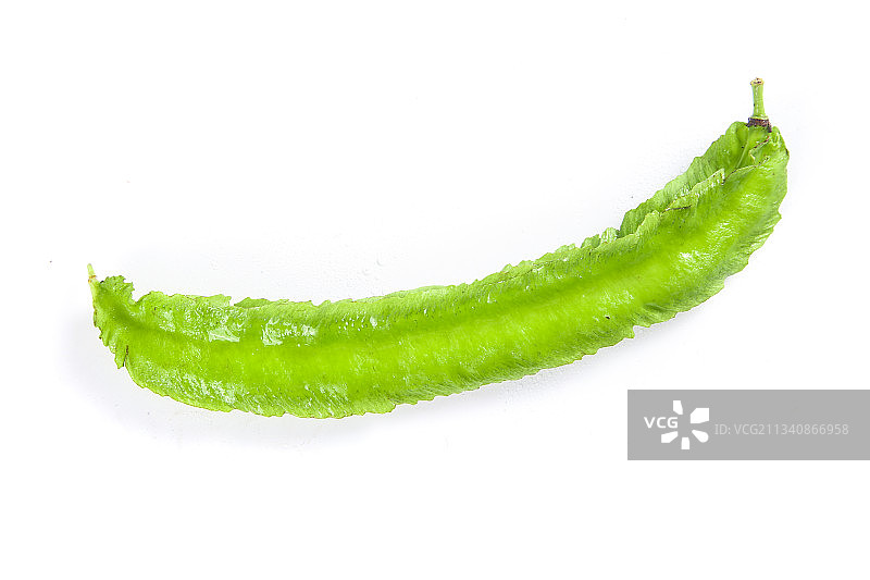 白底上摆放着四棱豆图片素材