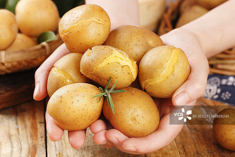 深底上的宜昌小土豆图片素材