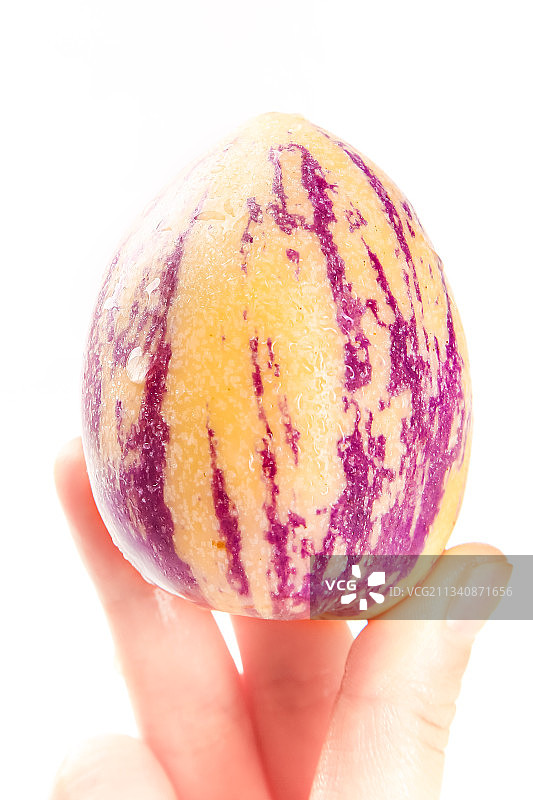 手里拿着甘肃民勤人参果图片素材