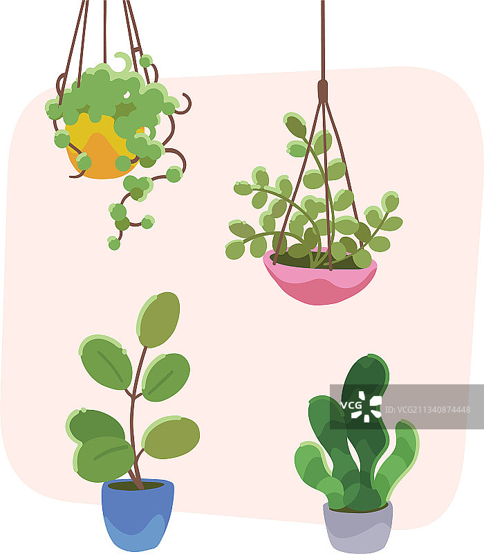 程式化的室内植物图片素材