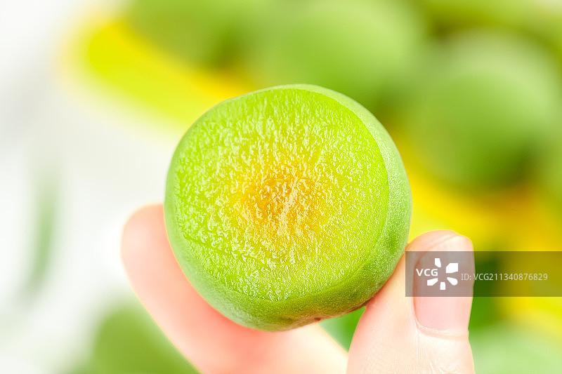 手上拿着新鲜青梅图片素材