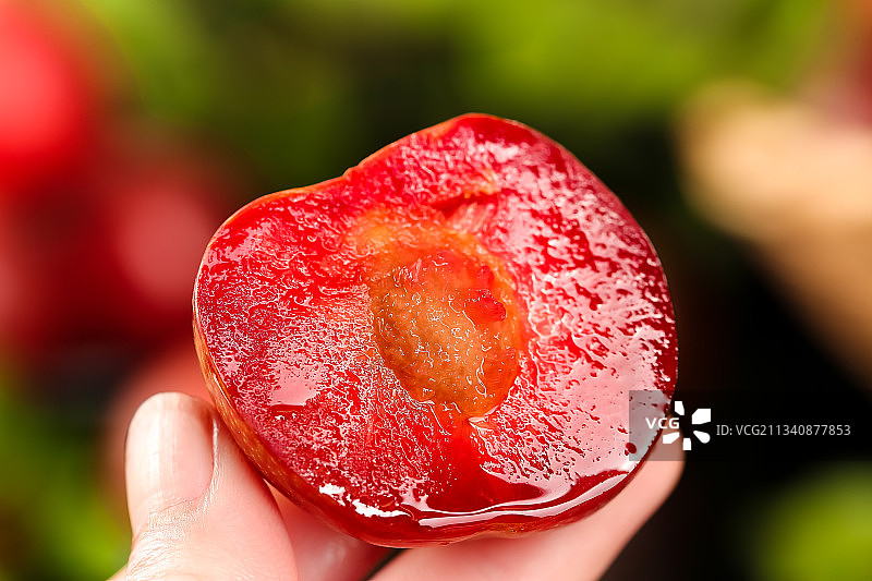 手里拿着红心李图片素材