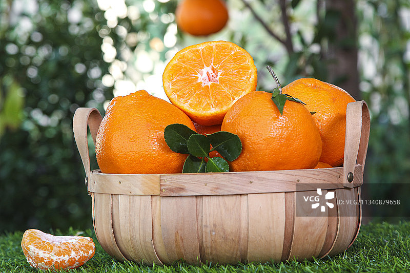 草地上的新鲜春见图片素材