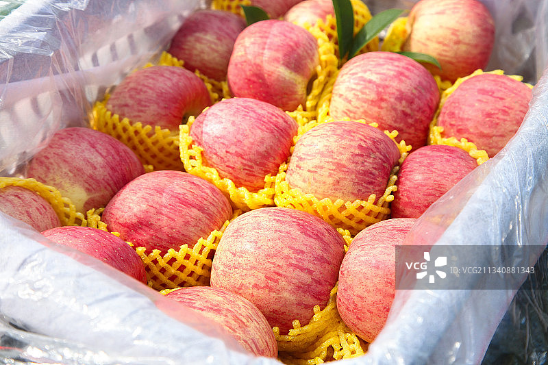 整齐摆放着的红富士苹果图片素材